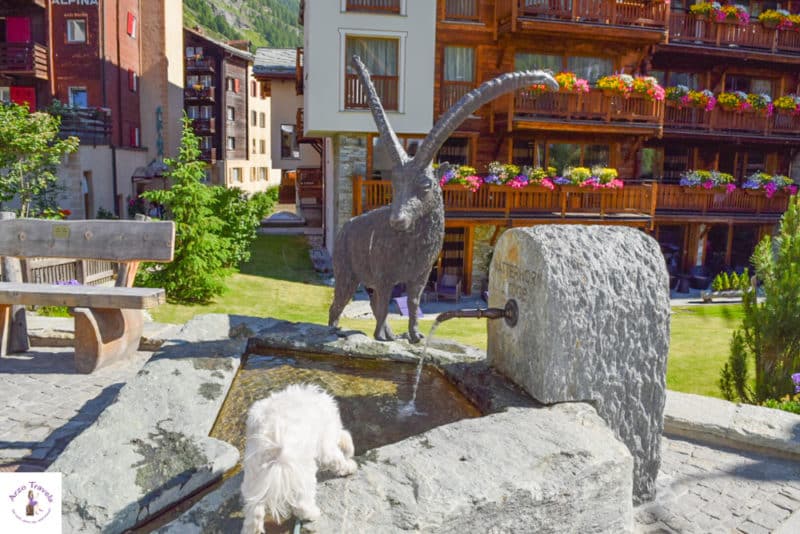 WHAT TO DO IN ZERMATT IN 2 DAYS ITINERARY Arzo Travels