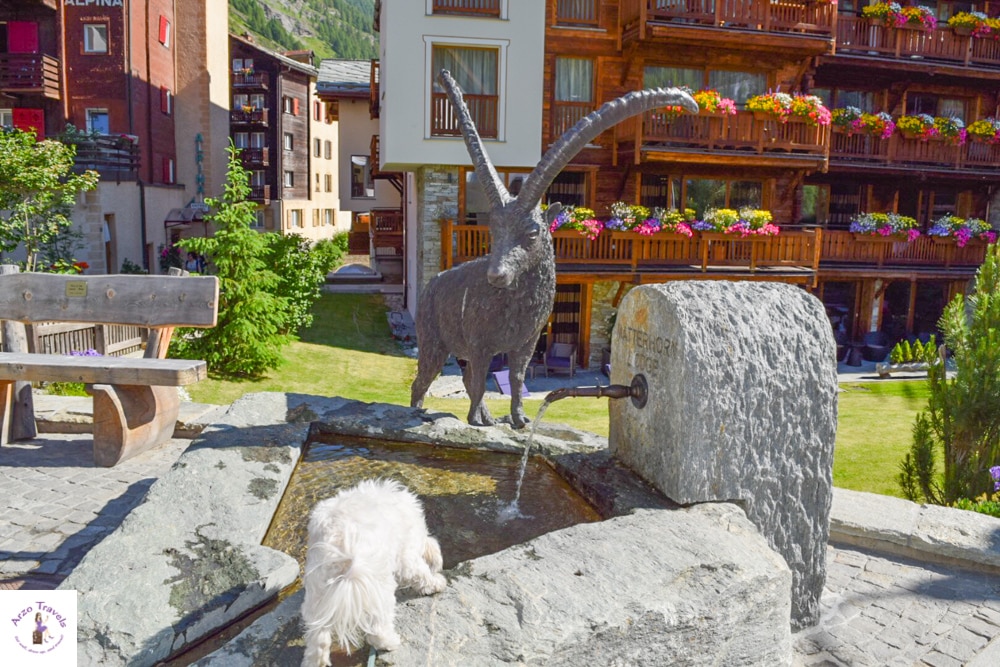 2 days in Zermatt - visit with a dog
