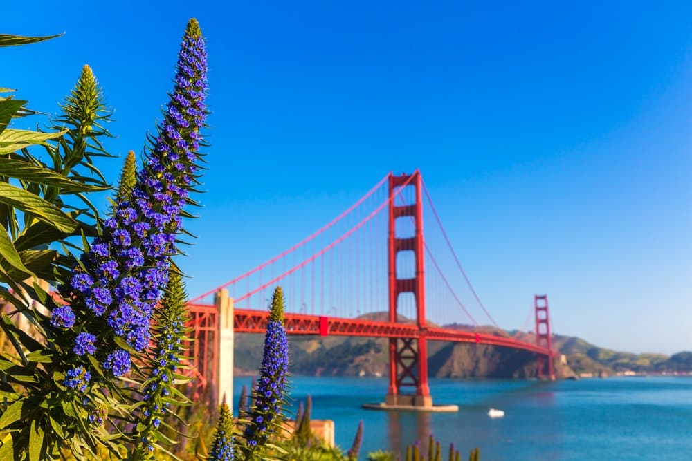 San Francisco - the most beautiful city in the USA @shutterstock