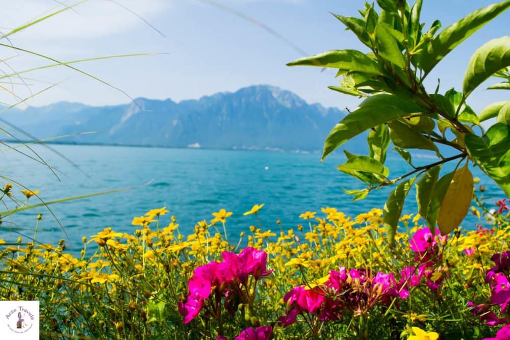 Colorful Montreux- it is all about flowers, the promenade and Lake Geneva