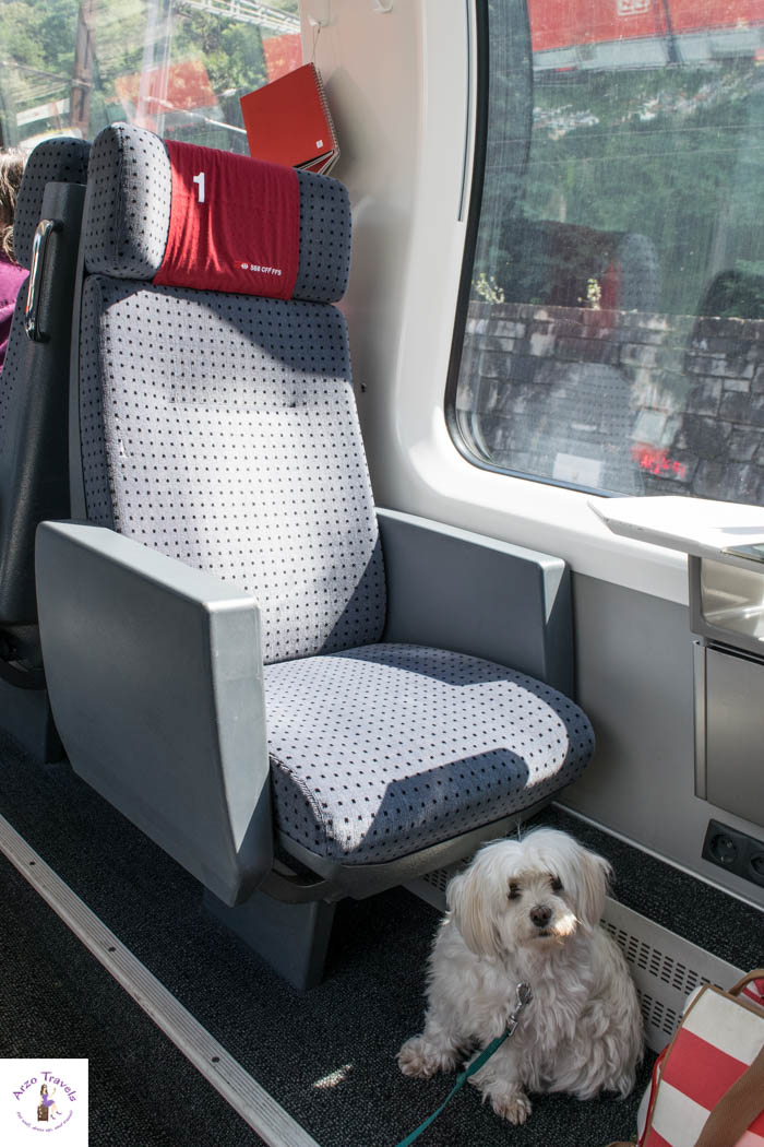 Dogs are allowed on Swiss Trains