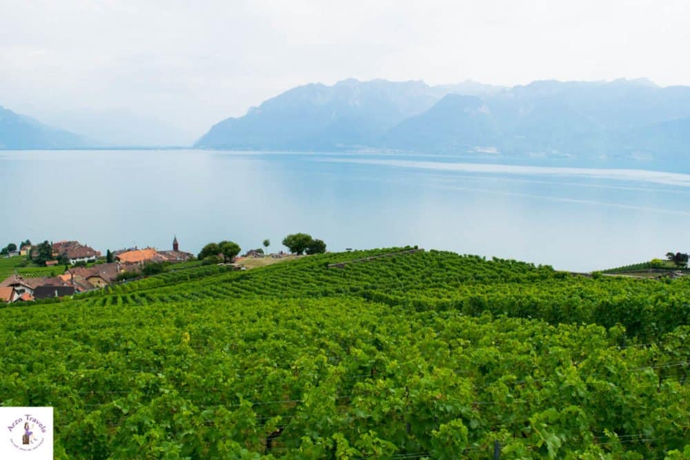 Vineyards of Montreux - what to do in montreux in 2 days