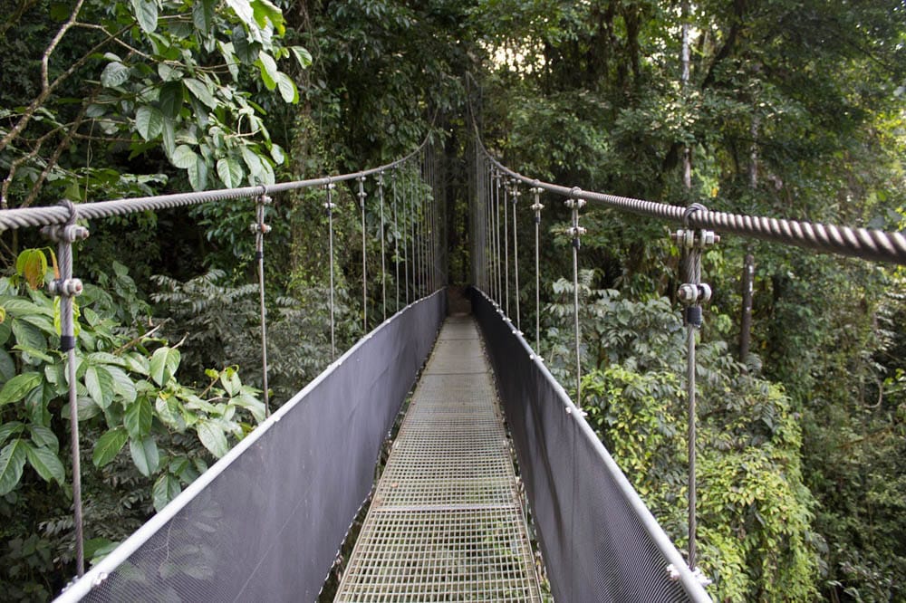 Suspension and hanging bridges in Costa Rica 