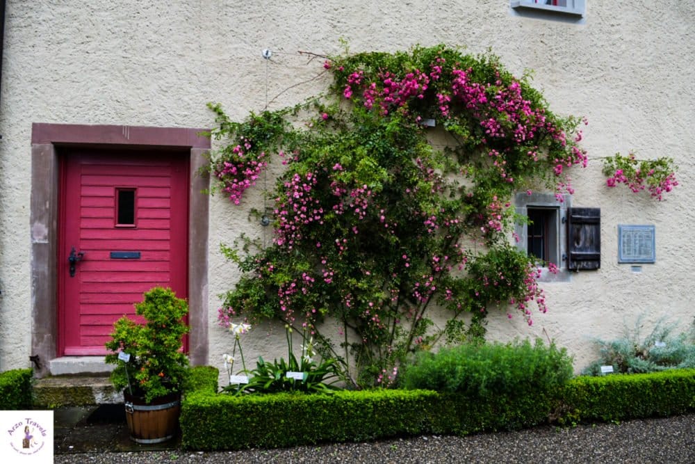 Pretty pink doors and facades in Schaffhausen