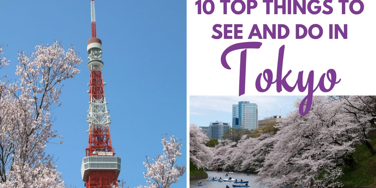 Top 10 Things To Do In Tokyo As A Solo Traveler