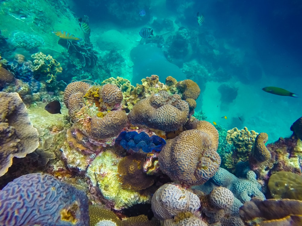 Koh Tao island, Thailand. @shutterstock