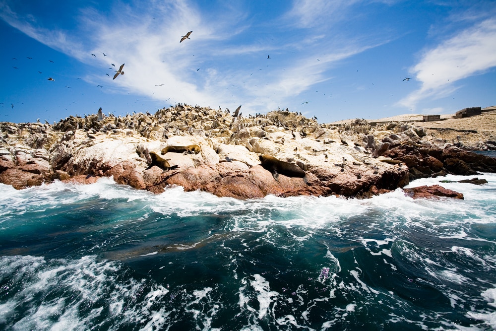 Peru places to visit - Ballestas Islands, Peru