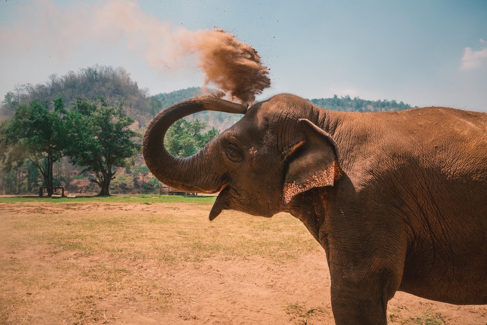 Chiang Mai, Thailand @shutterstock