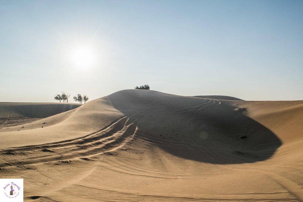 Desert safari in the UAE