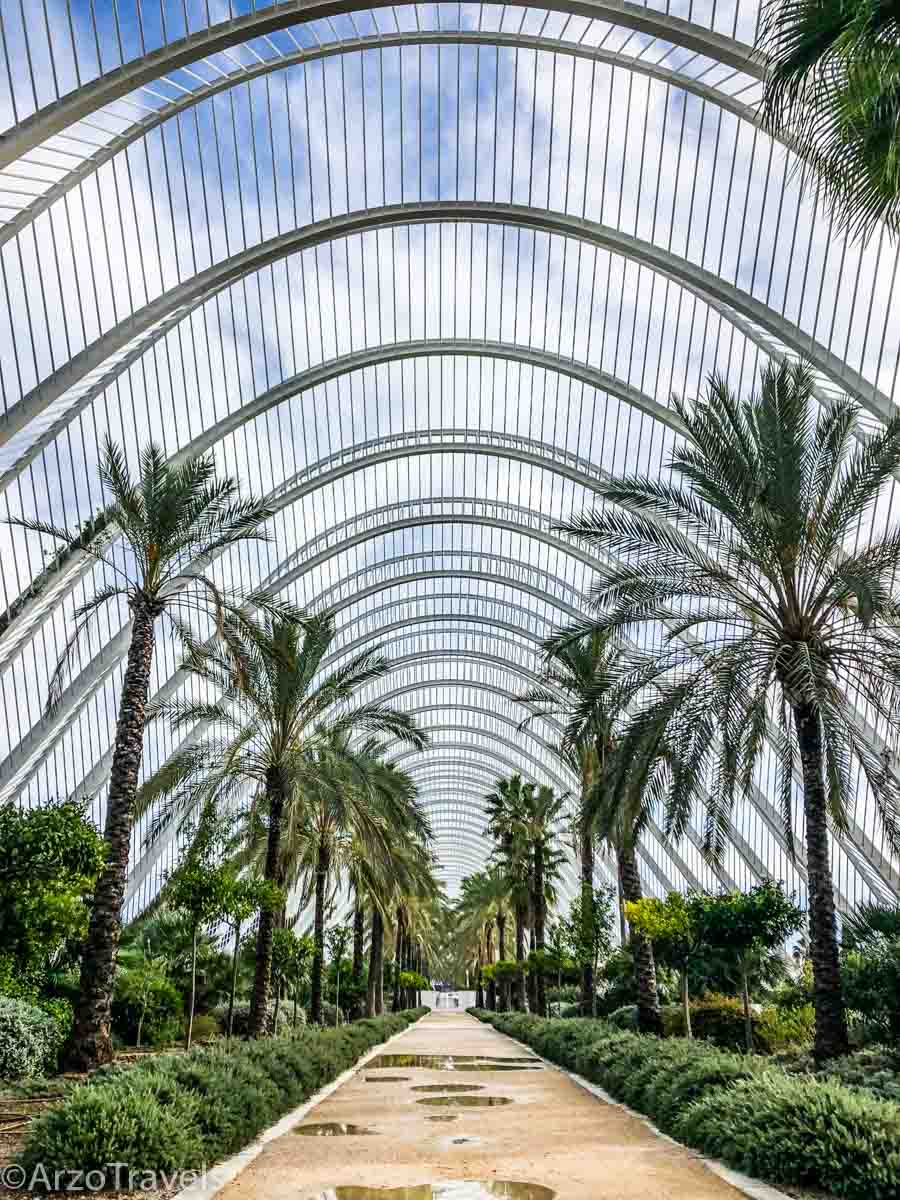 What to do in Valencia in one day