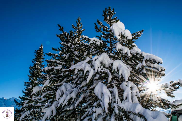 Switzerland in the winter, best winter photos of switzerland