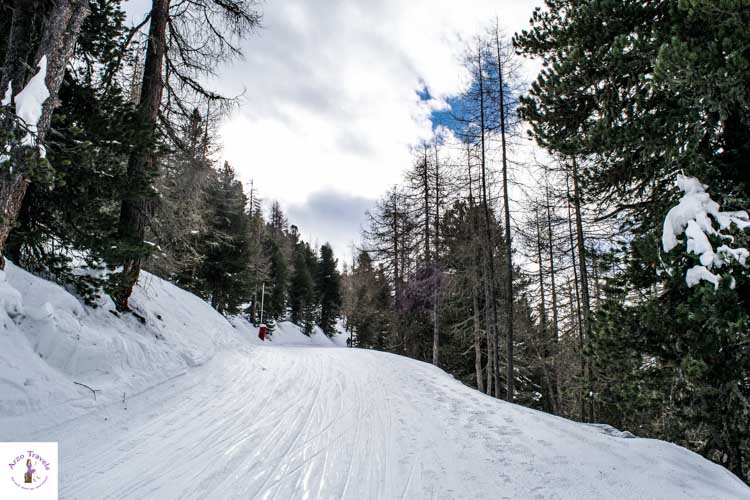 Things to do in Grächen in the winter, snowshoe hiking