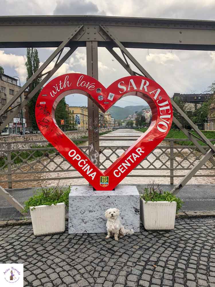 Sarajevo with a dog