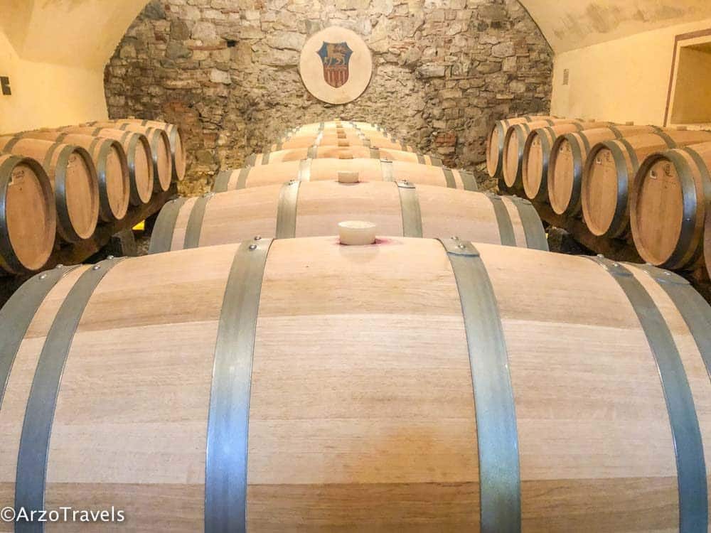 Cellar Ruffino in Tuscany estate with Arzo Travels