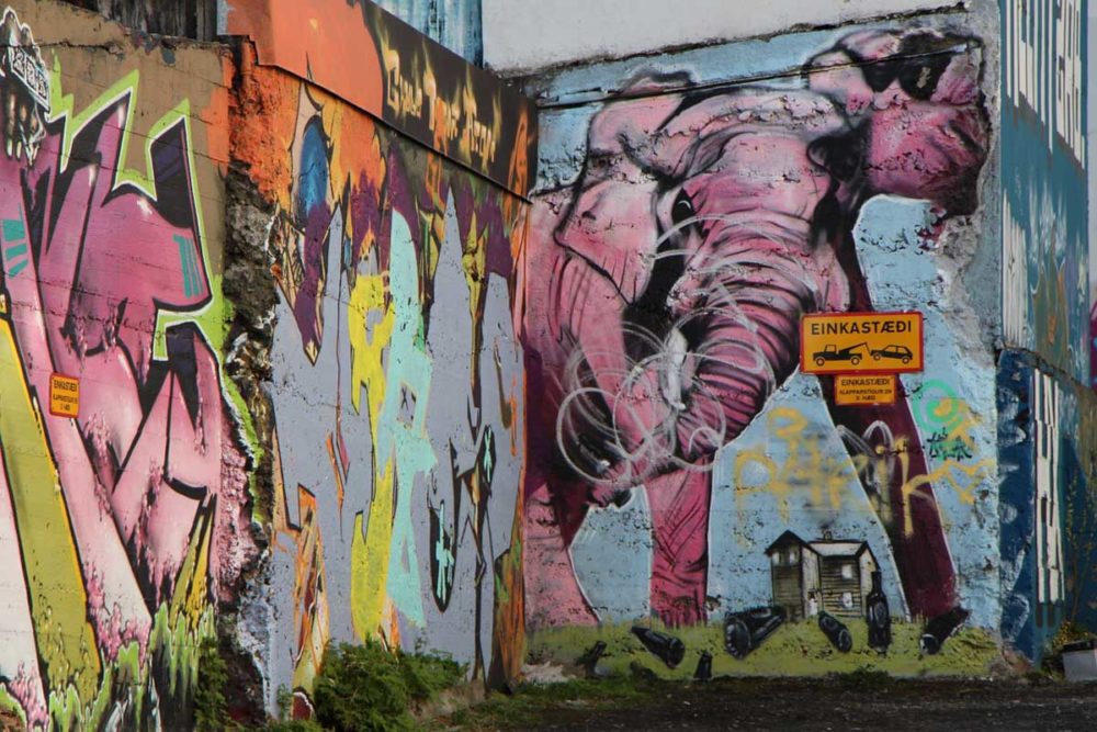 Street art is one of the best things to do in Reykjavik in winter