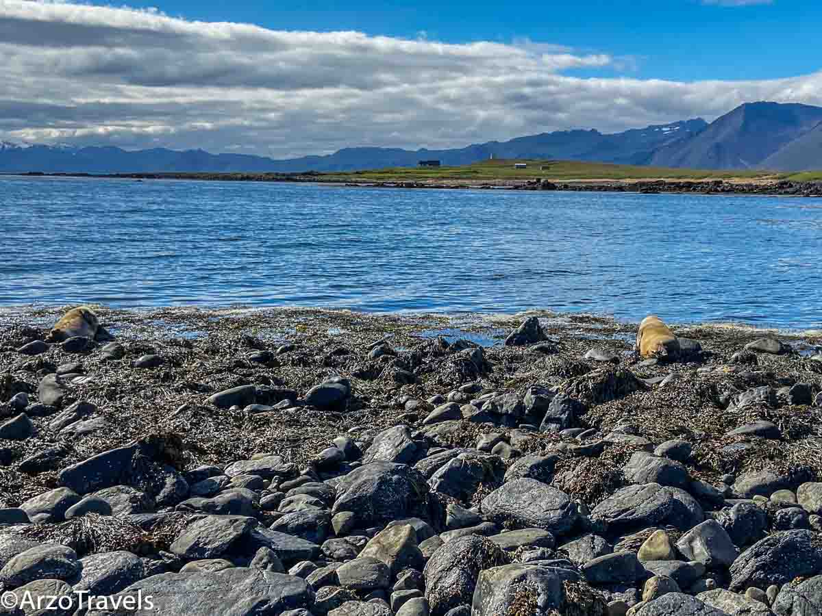 Ytri Tunga beach in west Iceland