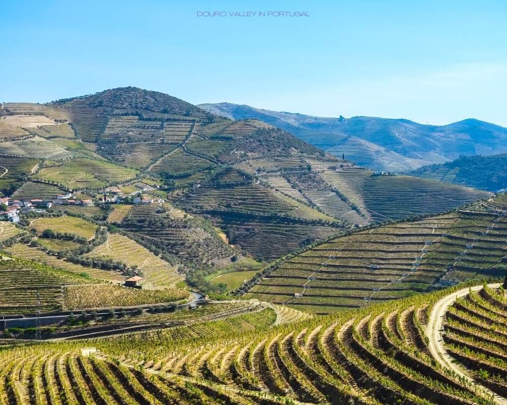 Douro Valley, Arzo Travels
