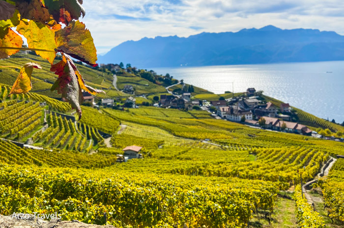 Vineyards along Lake Geneva a top thing to do in Lausanne