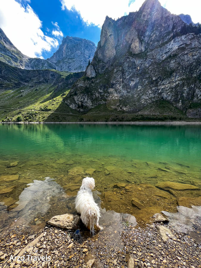 Lake Bannalp with a dog