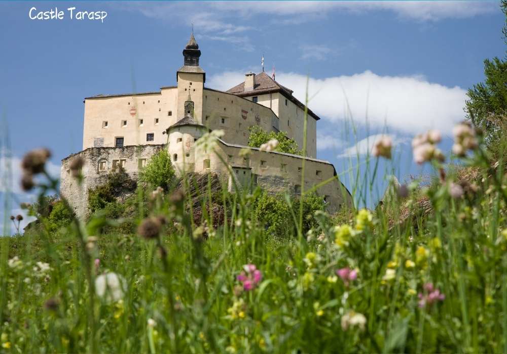 Castle Tarasp, Arzo Travels