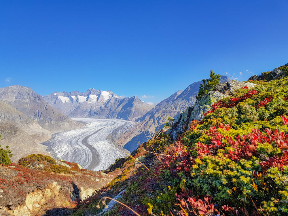 The Impressive Aletsch Glacier,Swiss Alps