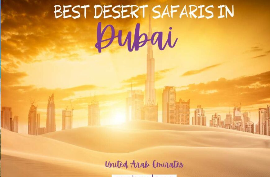 Best Dubai Safari Tours
