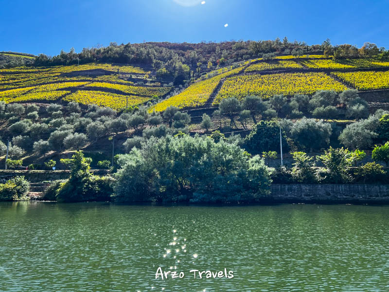 Boat cruise in Douro Valley