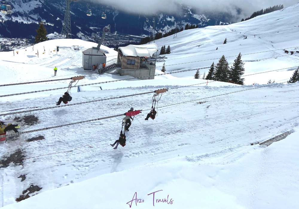 Grindelwald First activities Arzo Travels