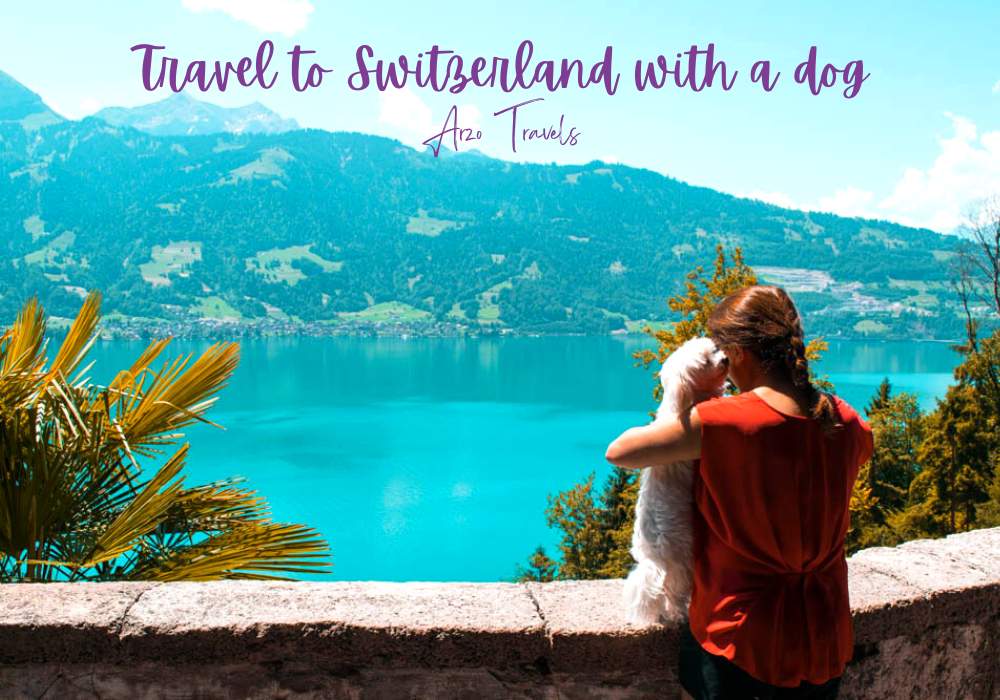 Travel to Switzerland with a dog, Arzo Travels