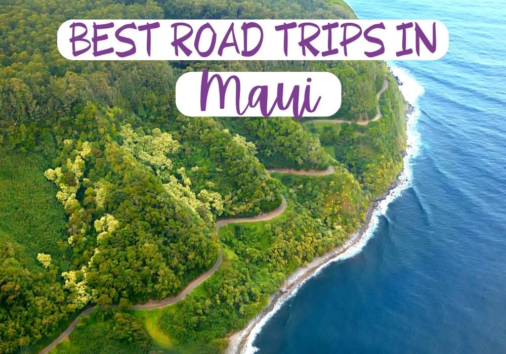 Arzo Travels Maui Road trips
