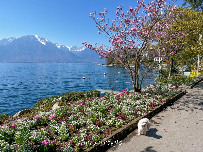 Montreux Switzerland, accommodations at the lake